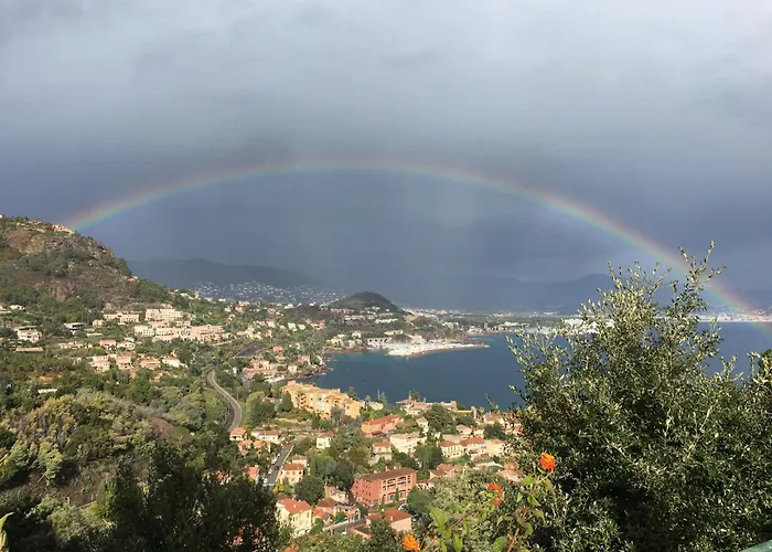 L'Anita